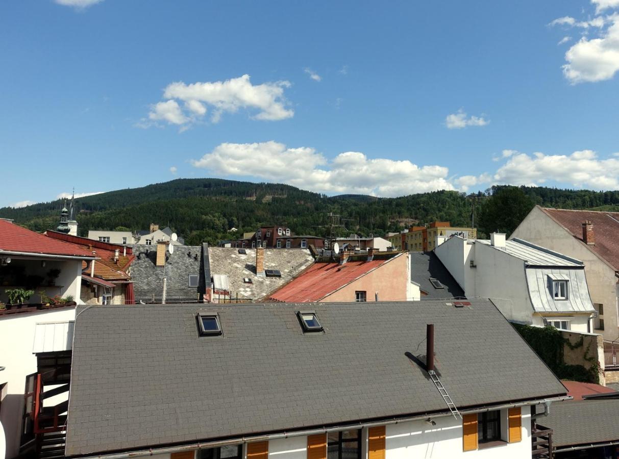 Hotel Staric Jesionik Zewnętrze zdjęcie